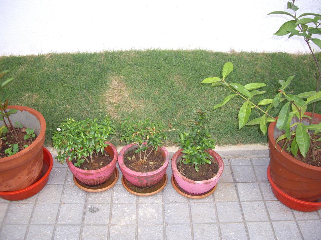 Elim Homestay Fort Kochi Zewnętrze zdjęcie
